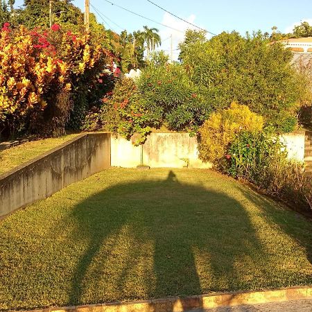 Charmant Appartement Verdoyant Le Morne-Vert Exteriér fotografie