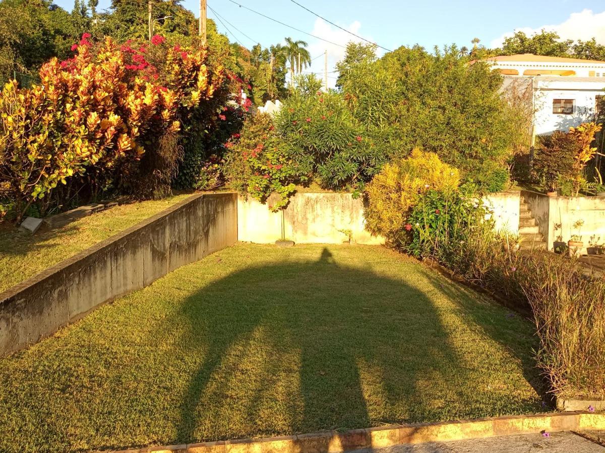 Charmant Appartement Verdoyant Le Morne-Vert Exteriér fotografie